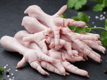 Fresh Chicken Feet - Quality Non-Veg Mart Guwahati
