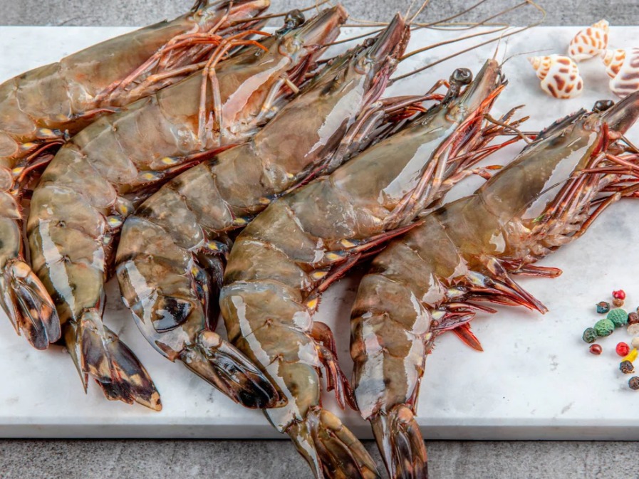 Fresh Fresh Tiger Prawns - Quality Non-Veg Mart Guwahati