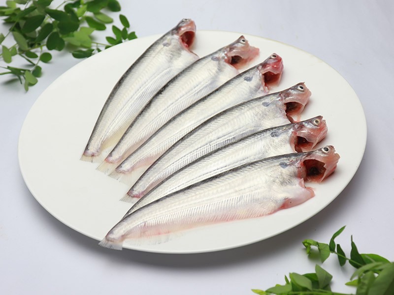 Fresh Pavo  / Pabda  Fish  - Quality Non-Veg Mart Guwahati