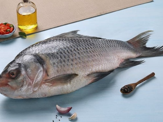 Fresh Bhokua / Catla (Kanpur) - Quality Non-Veg Mart Guwahati