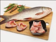 Fresh Rohu / Rui (Kanpur) - Quality Non-Veg Mart Guwahati