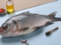 Fresh Bhokua / Catla (Kanpur) - Quality Non-Veg Mart Guwahati