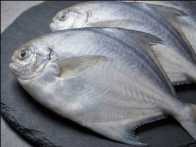 Fresh Pomfret - Quality Non-Veg Mart Guwahati